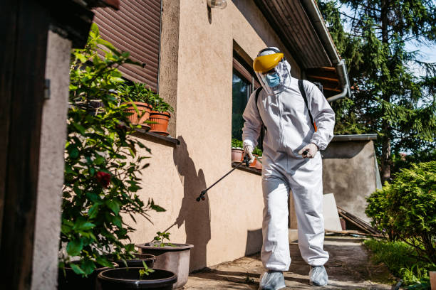Best Commercial Pest Control Services  in Dundalk, MD