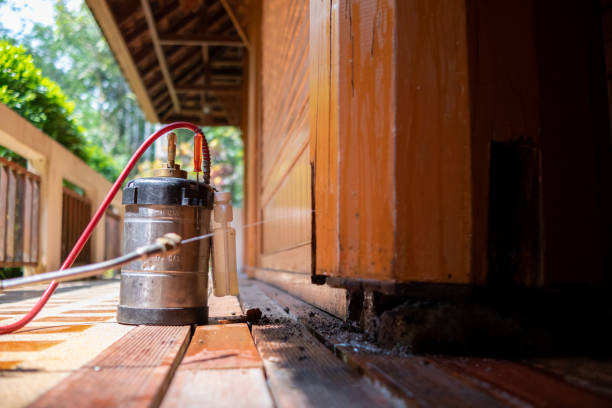 Best Pest Removal Services  in Dundalk, MD